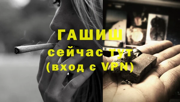 индика Белоозёрский