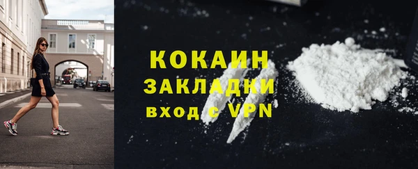 индика Белоозёрский