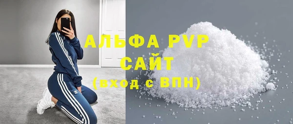 индика Белоозёрский