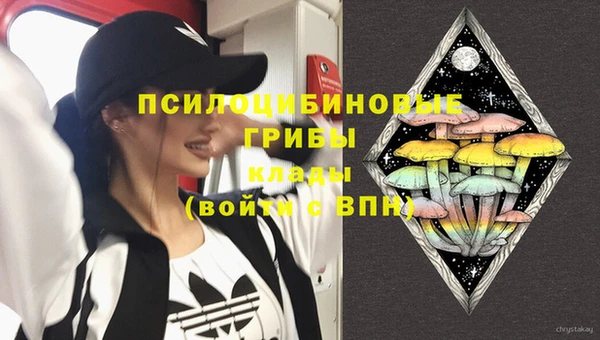 индика Белоозёрский