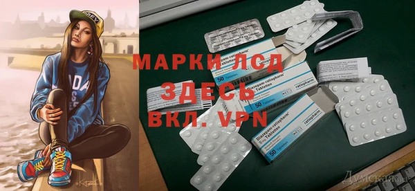 индика Белоозёрский